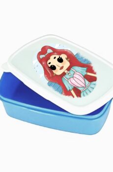 Lunch Box Disney